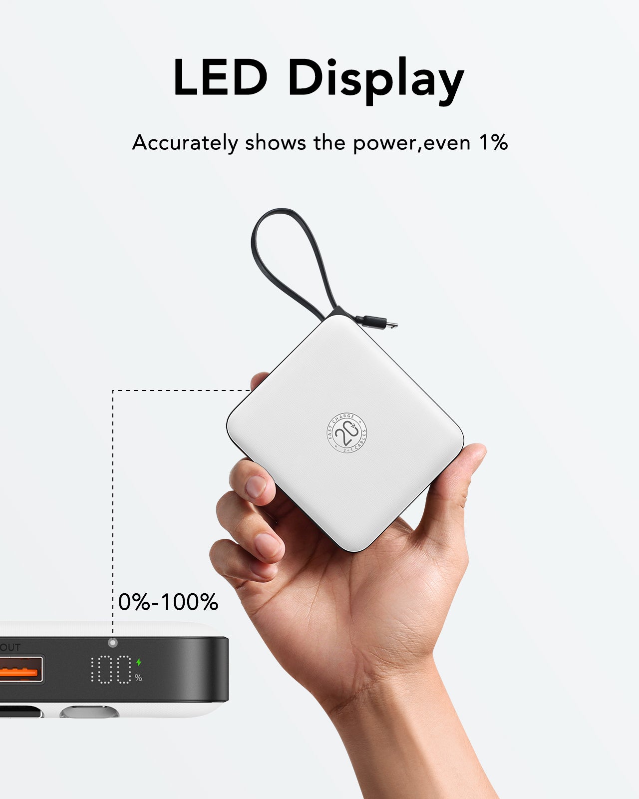 T1173 LED Display